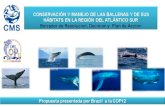 CMS | Convention on the Conservation of Migratory Species of … · 2017-07-25 · Ballenas en el Atlántico Sur (en adelante, el "Plan de Acción", que figura en el Anexo 3), insta