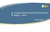 L’emploi dans les Industries Chimiques Région : Corsejetravailledanslachimie.fr/wp-content/uploads/2019/... · 2 Sommaire Précisions méthodologiques sur le périmètre de l’étude