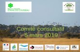 Comité consultatif 5 mars 2019 - gironde.gouv.fr · SEPANSO, pour la gestion et la mutualisation des connaissances sur la Flore, la Fonge et les habitats naturels - Ouverture d’un