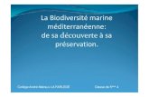 La Biodiversité marine méditerranéenne: de sa …grainesdexplorateurs.ens-lyon.fr/archives-1/2011-2012/...La Biodiversité marine méditerranéenne: de sa découverteà sa préservation.