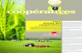 2012: Année des coopératives€¦ · et de participation. La coopération a toujours été un acteur impor-tant du développement de l’agriculture qui a tissé un lien profond