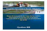 Tragédie ferroviaire de Lac-Méganticmenv.gouv.qc.ca/lac-megantic/rapport_chaudiere/... · 13 au 16 avril 2014 au PK 3,0, où l’on pouvait dénombrer jusqu’à 20 pastilles par