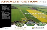 Céréales et colza : adopter la bonne stratégie variétale ... · catalogue français tient compte plus explicitement, depuis 2007, des aptitudes des variétés à concentrer de