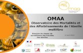 Présentation - Groupe suivi plateforme ESAdraaf.auvergne-rhone-alpes.agriculture.gouv.fr/IMG/... · Gouvernance de la phase de construction de l’OMAA •Pilote : DGAl •Développement