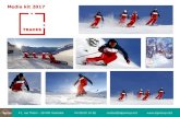 Media kit 2017 - Cjoint.com · 2019-01-14 · 47, rue Thiers - 38 000 Grenoble 04 58 00 16 98 contact@alpamayo.biz  Media kit 2017.....