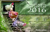 l’agenda des poules 2016 - Fnacmultimedia.fnac.com/multimedia/editorial/pdf/... · 2015-09-28 · vendredi samedi dimanche 4567 89 10 St J.-B. de la SalleAnnonciation Ste Irène