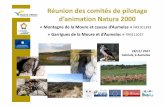 Réunion des comités de pilotage d’animation Natura 2000valleeherault.n2000.fr/.../page/copil_3_mmca_gma.pdf · 2019-11-26 · MAEC 2016 (sur 5 ans) 73 570.71 MAEC 2017 (sur 5
