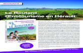 Le Routard Œnotourisme en Hérault - A chaque envie son guide · Bienvenue dans l’Hérault, au cœur de l’Occitanie. Le 1er département viticole d’Occitanie, 2 ème de France,