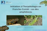 Franche-Comté : cas des amphibiens...Classification des amphibiens et des reptiles (Invertébrés à squelette externe et appendices articulés) (Animaux marins à symétrie axiale)