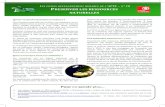 L ES FICHES DEVELOPPEMENT DURABLE DE L …...nitrates et produits phytosanitaires, et l'utilisation des phosphates dans tous les produits lessiviels sera interdite à partir de 2012.