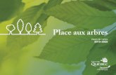 Place aux arbres - Ville de Québec · Responsable de l’environnement et du développement durable. 7 ... de concevoir, de comprendre quelque chose de complexe ». À la Ville de