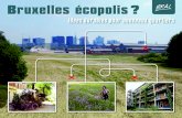 Bruxelles écopolis · Combien d’infrastructures collectives ? La deuxième phase apporte plus de précisions quant à l’implantation des bâtiments et des rues. La troisième