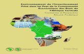 Environnement de l’investissement privé dans les pays de ... · Exigences de l’Harmonisation et de l’Incitation Fiscales 25 ... Bourse de Douala EMF Établissement de microfinance