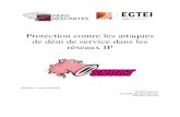 Protection contre les attaques de déni de service dans les …helios.mi.parisdescartes.fr/~osalem/Projects/Hotte_LUTUN... · 2012. 1. 11. · Les attaques par déni de service ont