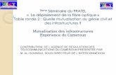 Mutualisation des infrastructures Expérience du Cameroun · RINGO 2010 4 6 7 MTN NS 2010 2 11 140 ORANGE MULTIMEDIA 63 . PARTAGE DES INFRASTRUCTURES 4/10/2012 10 35 47 50 53 64 96