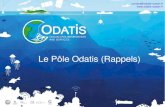 Le Pôle Odatis (Rappels) · Structuration du Pôle En totale coordination avec l’IR « Système Terre » : Un Comité Directeur représentant les organismes partenaires et prenant