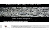 Etude des populations d’Oiseaux Marins Nicheurs sur l’Ile ...€¦ · En 2008, la Direction de l’agriculture et de la Forêt de Saint-Pierre et Miquelon (devenue depuis la Direction
