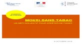 MOI(S) SANS TABAC - Ministère des Solidarités et …...L’envie d’arrêter de fumer fluctue d’une région à une autre. Ainsi, on observe que les fumeurs des Hauts-de-France