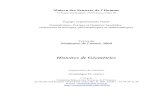 Histoires de Géométries - msh-paris.frsemioweb.msh-paris.fr/.../geo_2004/Document_final_2004.pdfthe n-ple (0,0,0, …, 0)), elaborated, on the basis of Grassmann’s Ausdehnungslehre