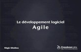 Le développement logiciel Agile - Télécom ParisTechses.telecom-paristech.fr/LEANSI/xp_leansi_20081117.pdf2008/11/17  · Projet 2 Problèmes Actions Résultats Itérations de 2