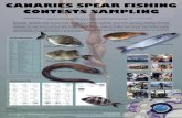 CANARIES SPEAR FISHING Salmonete Salema Sarpa salpa 1 8 ...proyectosicore.es/wp-content/uploads/2018/10/... · CANARIES SPEAR FISHING CONTESTS SAMPLING Pablo Martín-Sosa, E. Hernández,