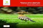 Oiseaux rares observés à Bruxelles en 2007-2017€¦ · nature spectaculaire. Le monitoring des oiseaux à Bruxelles Des relevés de terrain annuels permettent de suivre l’avifaune