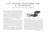 LA VRAIE NATURE DE L'ANIMALcnlj.bnf.fr/sites/default/files/revues_document... · à l'origine de la littérature enfantine, le devenir animal se confondait alors, dans ces genres