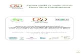 Rapport détaillé de l’atelier 201 4 du Réseau Climat ...climatdeveloppement.org/wp-content/uploads/2014/04/RAPPORT-GE… · 4 INTRODUCTION Le Réseau Climat & Développement