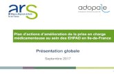 Plan d’actions d’amélioration de la prise en charge ... · Plan d’actions d’amélioration de la prise en charge médicamenteuse au sein des EHPAD en Ile-de-France . 2 ...