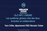 GLO MFC CMEMS - Ocean Forecasters€¦ · Organisation of GLO MFC GLO-HR is the high resolution real time component producing global ocean analysis and forecasts from the surface