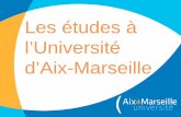 Les études à l’Université d’Aix-Marseille · tout au long du cursus (Ex : CU CESURE) Ateliers de techniques de recherche d ’emploi organisés par le SUIO. Plate-forme IPRO