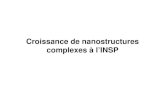 Croissance de nanostructures complexes à l’INSP · M.O. Jensen, M.J. Brett, Opt. Express 13, 3348 (2005) 400 nm Couche mince de nanospirales de TiO 2 (INSP). Conclusion • L’utilisation