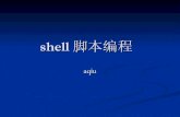 shell 脚本编程 - read.pudn.comread.pudn.com/downloads172/ebook/798182/shell-programming.pdf · Shell的基本知识（2） 同传统的编程语言一样，shell提供了很多