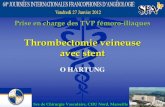 Thrombectomie veineuse fémoro-iliaque avec stenting 2012 TKV .pdf · Delis : 44% CV à 5 ans Plate : 26% de valves FP perméables et continentes à 6 mois après TVP FI Akesson :
