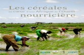 Les céréales - Roppa€¦ · Introduction La céréaliculture ouest africaine 7 L'économie céréalière clé de la sécurité alimentaire en Afrique de l'Ouest à la base de l’alimentation