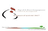 Pays de la Bresse bourguignonne · Rapport d’activité 2017 validé AG CODEV 18 octobre 2018 Page 1 sur 14 Pays de la Bresse bourguignonne Conseil de développement Rapport d’activité