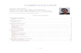 CURRICULUM VITAE - HebFree · 2020. 7. 2. · CURRICULUM VITAE Romain COUILLET Professeur des Universit es (HDR) a CentraleSup elec Titulaire de la chaire IDEX GSTATS a Univ. Grenoble-Alpes