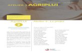 ATELIER 3 AGRIPLUIterresenvilles.org/wp-content/uploads/2018/10/TEV_CH2.1.2_AgriPLU… · 2 Protection et mise en valeur des espaces agricoles, naturels et forestiers périurbains