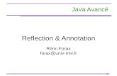 Reflection & Annotation - IGMforax/ens/java-avance/cours/pdf/8...Reflection et Type paramétrée Par defaut, les méthodes de reflection retournes les types érasées par le compilateur