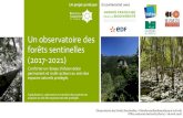 Un observatoire des forêts sentinelles (2017-2021)docs.gip-ecofor.org/share/2-PBF_-_Presentation_OFS_bis.pdf · 2018. 6. 4. · Un observatoire des forêts sentinelles (2017-2021)