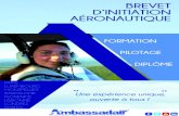 BREVET D’INITIATION AÉRONAUTIQUE - Ambassadair · Le BIA est un excellent moyen de découvrir le monde de l’aviation et tous les métiers qui s’y rapportent afin de pouvoir