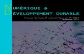 UMÉRIQUE & D · 2018. 7. 28. · Par Renaud Francou, Chef de projet La Fing Anticiper et proposer : la prospective comme un élément du développement durable 40 Par Régis Chatellier,
