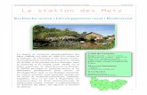 Juillet 2018 La station des Metz - Ministère de la ... · Ce faisant, avec la Ligue de Protection des Oiseaux 89 et le Centre Social et Culturel de Puisaye-Forterre, la SRPM est