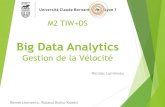 Big Data Analytics - Centre national de la recherche …...Big Data Analytics - Gestion de la vélocité Arvind Arasu, Shivnath Babu, and Jennifer Widom. 2006. The CQL continuous query