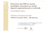 Dr Jean-Baptiste Fassier · 2020. 1. 24. · Prévention des TMS au travail, lombalgies chroniques au travail Aspects organisationnels et collectifs Dr Jean-Baptiste Fassier (1) Hospices