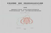 par Renaud PAULIAN · dans l'île, doivent être considérées soit comme des introductions accidentelles sans doute non suivies d'indigénisation, soit étiquetées de Madagascar
