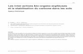 235 Les inter-actions bio-organo-argileuses et la stabilisation du … · 2018. 9. 10. · Bio-organo-clay inter-actions and carBon staBilization in soils : a historical approach