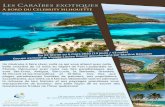 Les Caraïbes exotiques - agence de voyages de groupe ... · du passé, puisque les autorités locales ont mis en place des restrictions visant à les décourager pour qu’ils cessent