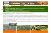 SOMMAIRE - Agriculturedraaf.hauts-de-france.agriculture.gouv.fr/IMG/pdf/BSVpom... · 2017. 6. 7. · 1 Bintje, stade croissance active, 50% de ferme-ture du rang. Tubérisation de