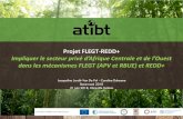 dans les mécanismes FLEGT (APV et RBUE) et REDD+ · PDF file Projets FLEGT-REDD+ L’ATIT met en œuvre deux projets : •FLEGT-REDD + : financé par le FFEM - démarré en 2012 •FLEGT